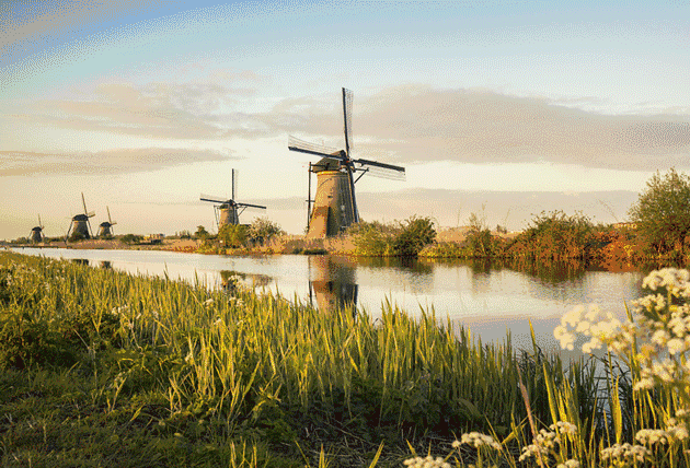 飞舞玻璃上有太阳和蓝色使它通向林中小屋我会慢慢修一条小路制作合诵