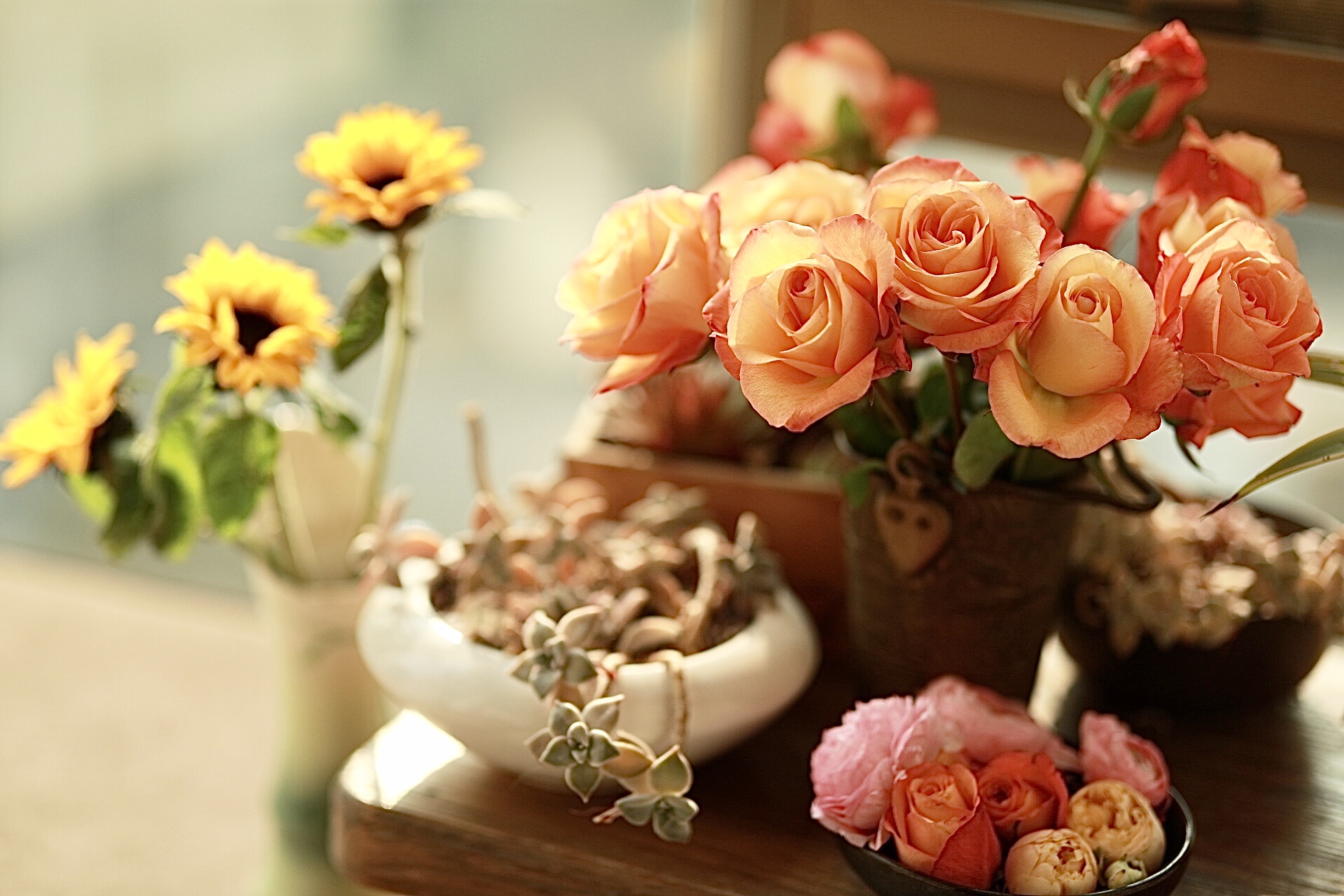 阳光,鲜花,微笑 《首发》