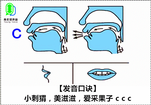 舌尖前音训练图片