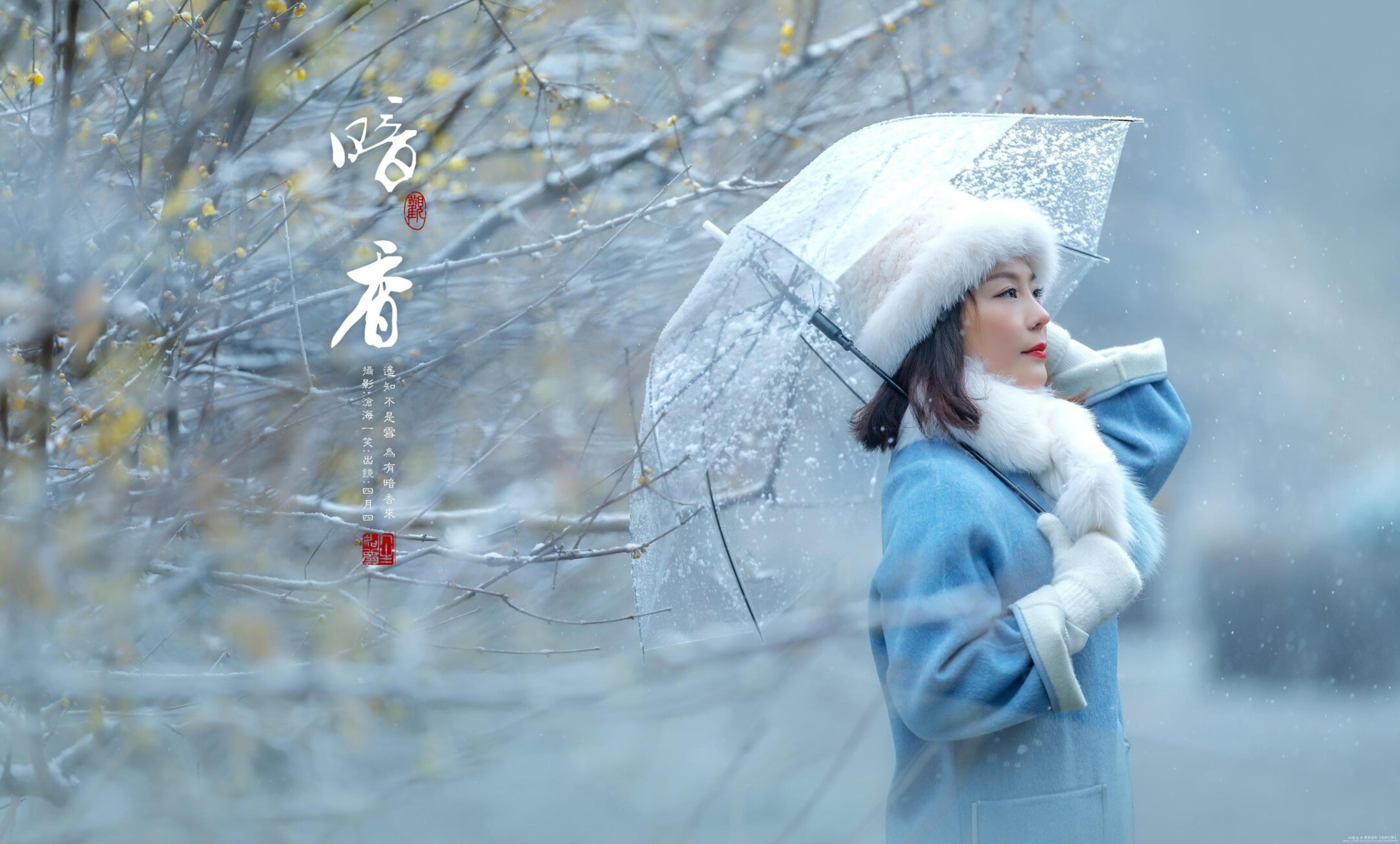 【首发】小雪怡情藏诗意.梅香一缕醉幽魂