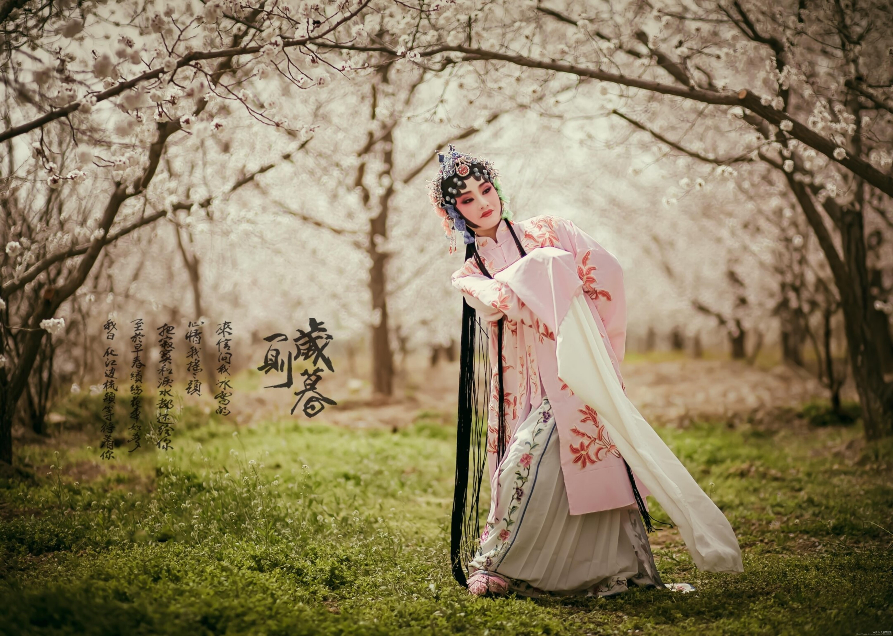 【古韵古风俏西施】首发