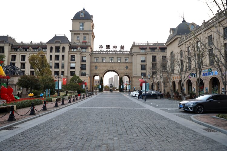 仙林翠谷郁金香花会