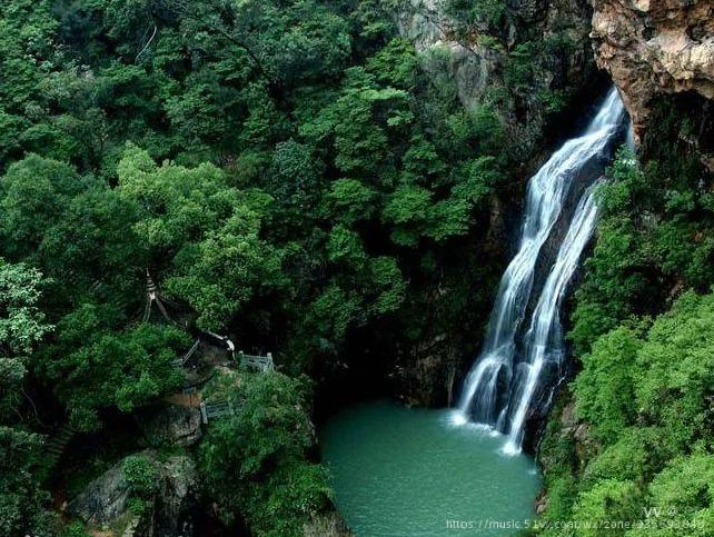 我又曾见过杭州虎跑寺旁高峻而深密的"绿壁",丛叠着无穷的碧草与绿叶