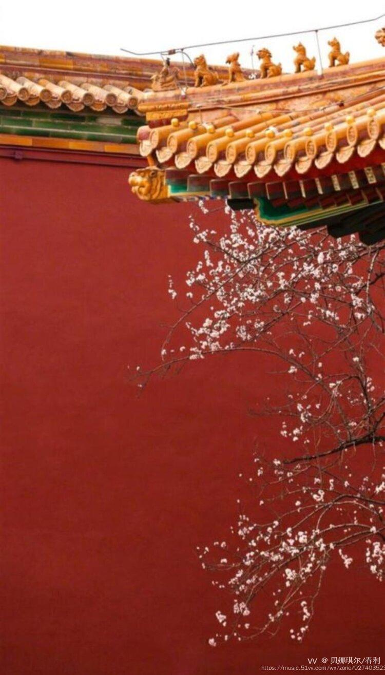 泪纵横泼墨乱花魂珍妃井畔叹梅红一角红墙生衰草寂寂无声紫禁之城落雪