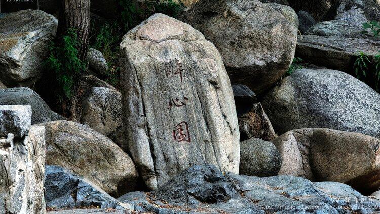 泰山醉心石手机版