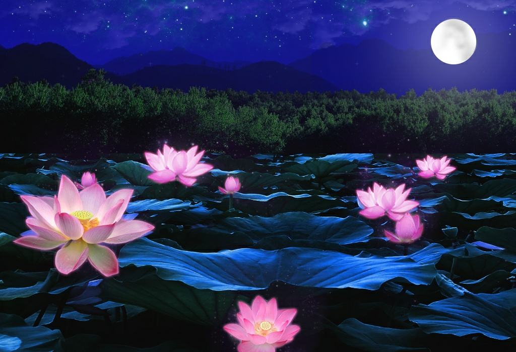 诗引/西江月  入韵七阳 月色朦胧菡萏香,飞裙炫舞绿荷塘.