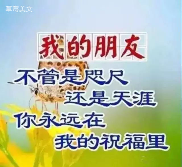 如何用 TinaTI 软件仿真并分析 RC 积分电路和微分电路 知乎