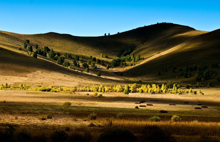 【中国声音*春节系列活动】同诵‖感恩大地