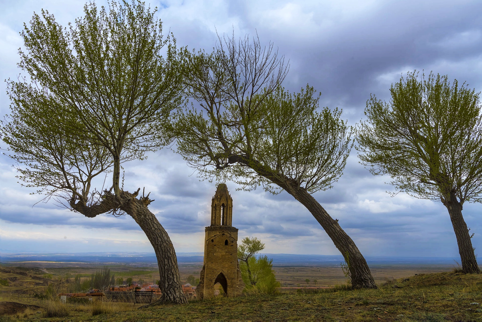 追光逐影一大单巴【首发】