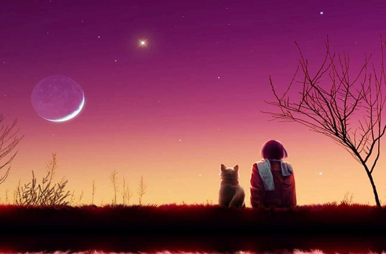 的梦幻中追随盼与你相逢等与你谋面愿苍穹赐星月良缘写于2020/11/29