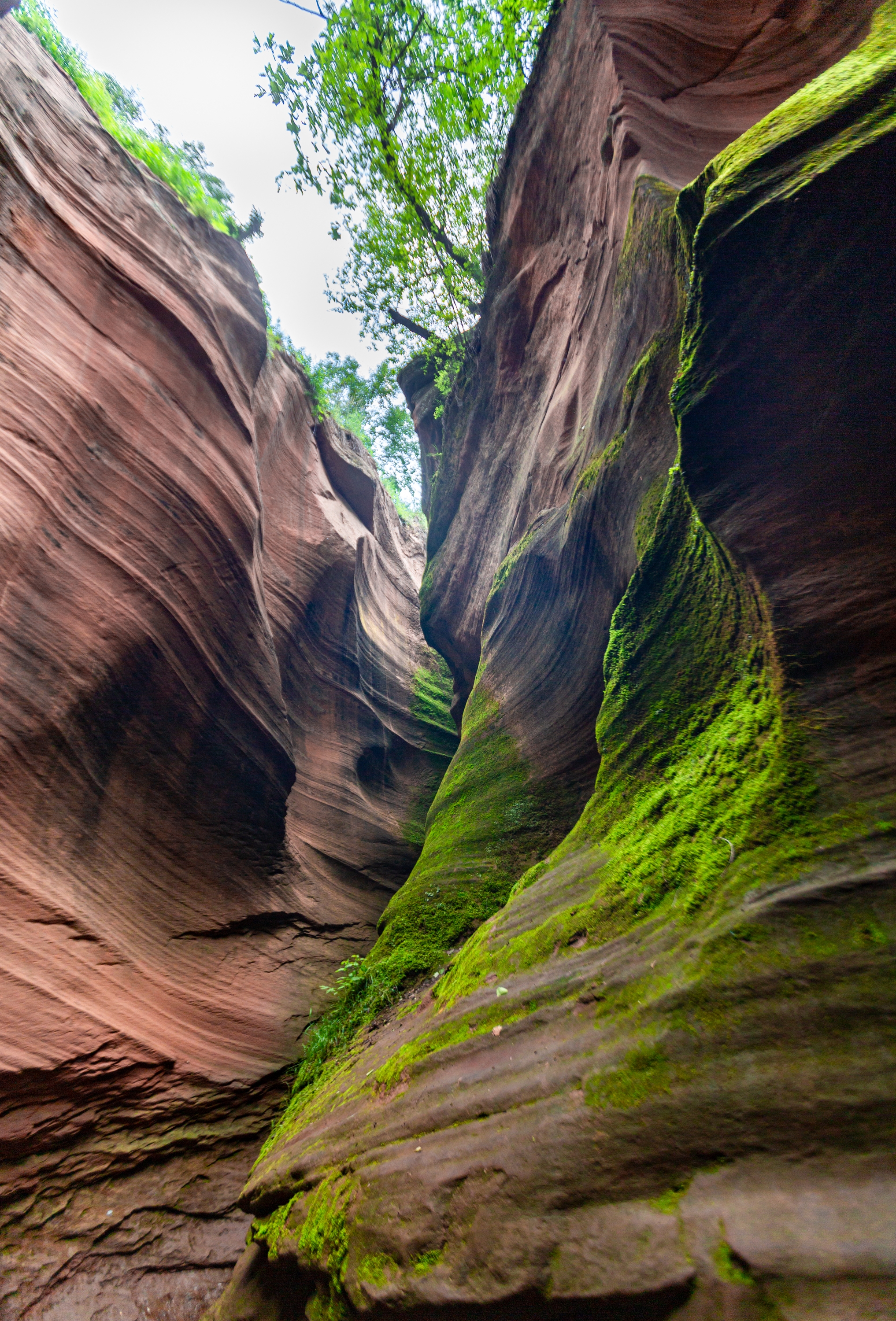 甘泉雨岔大峡谷一一桦树沟