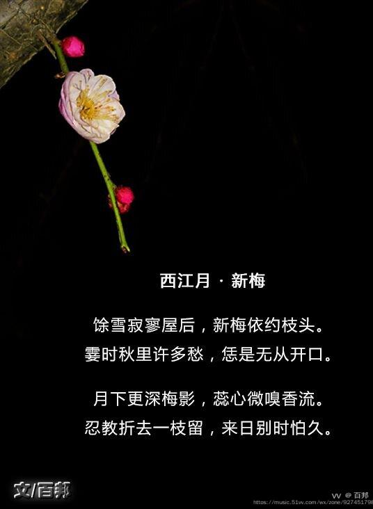 西江月61新梅