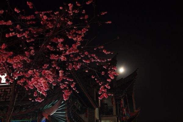 在闭目感受中,依旧会感到月影在夜风中摇曳,在窗前晃动,不禁一怀的