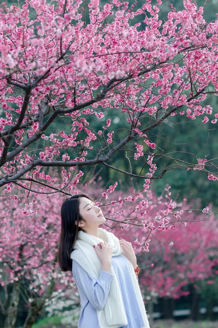 树下言欢多丽女,草坪嘻戏尽儿童.梅花疏影海棠红,冻柳山茶发旧丛.