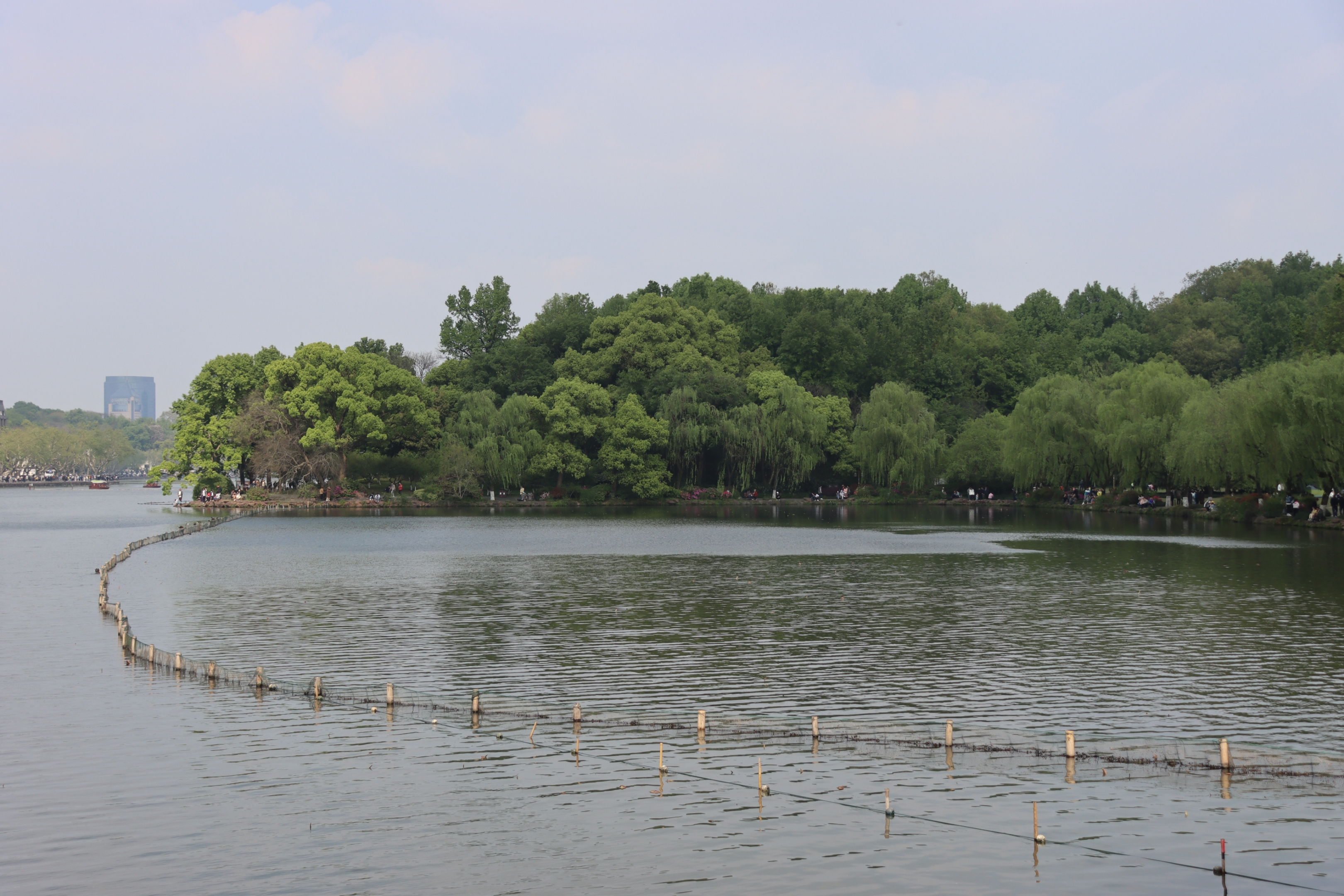【首发】七律一湖烟雨一湖春