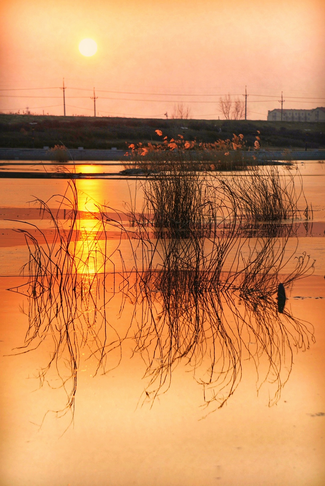 一道残阳铺水中,半江瑟瑟半江红 摄影 冰清