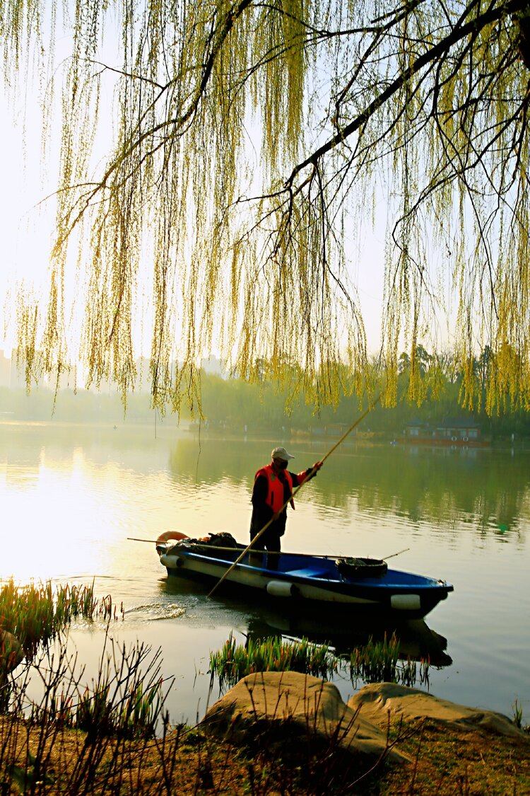 春阳春水扬翠柳清风清波荡渔舟