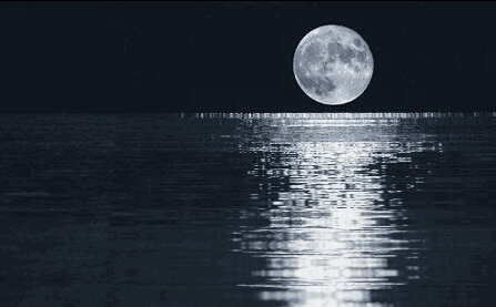 447_277gif 动态图 动图