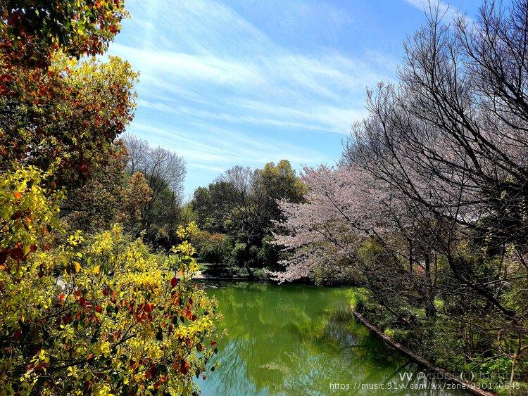 湖上春來似畫圖,亂峰圍繞水平鋪.白居易文字 : 古詩