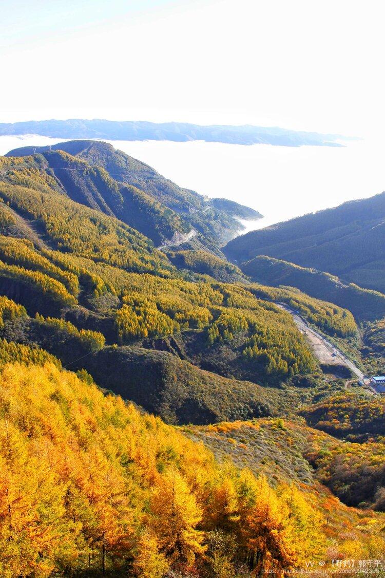 秋染六盘山层林尽染正迷人