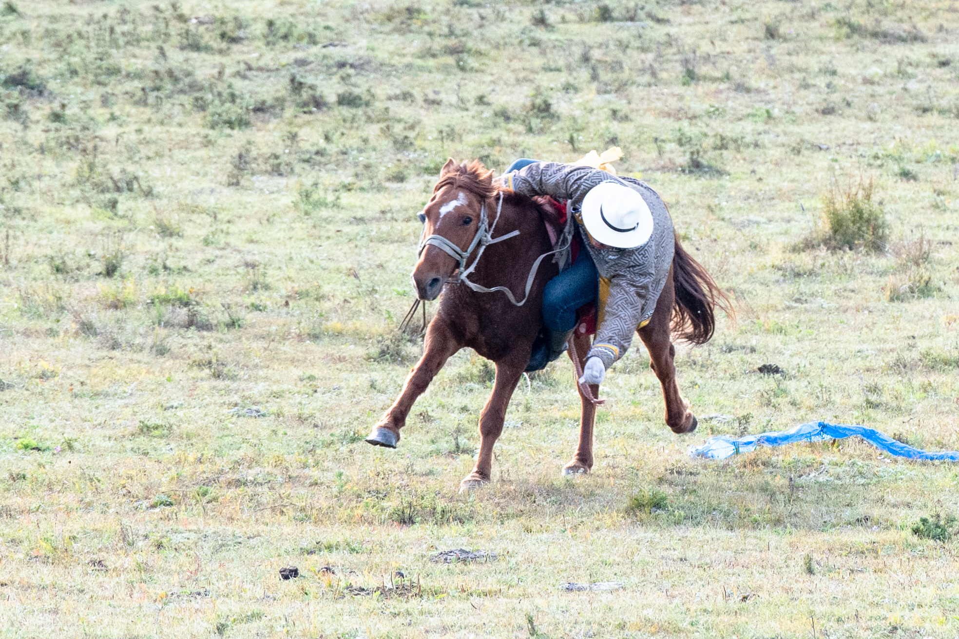 【首发】马背上的汉子