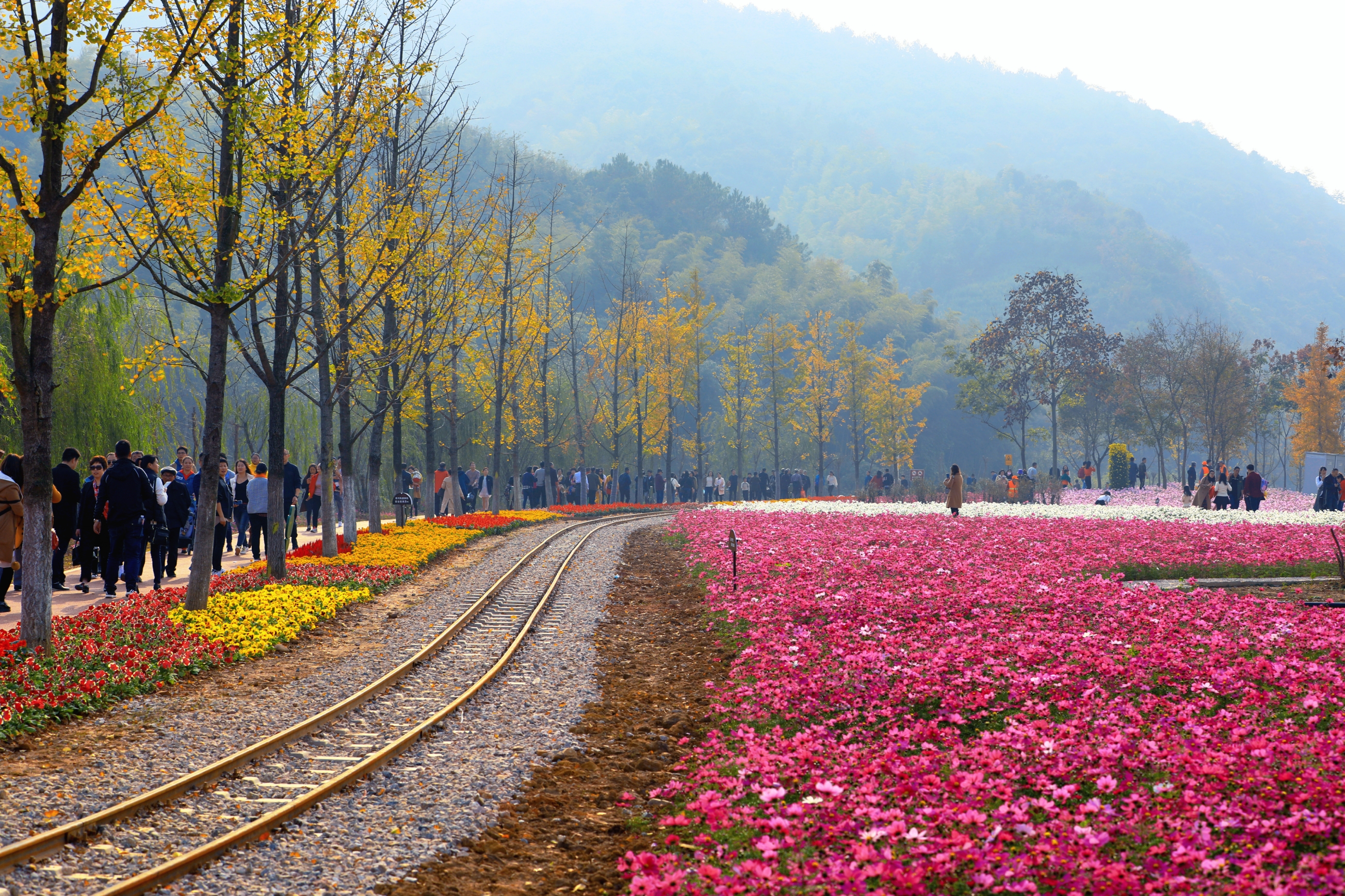 2018年11月10～11日,我随镇江的摄影爱好者一道,奔赴浙江湖州长兴县小