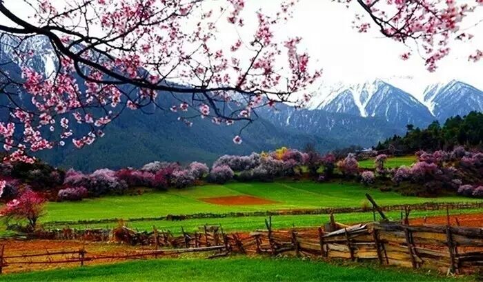 有一处这样的房子