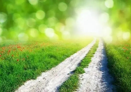 《在天晴了时候》 戴望舒