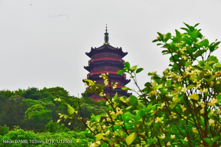 天氣多雲吉安螺子山深態溼地公園攝影人留念歲月深刻印象2021413於