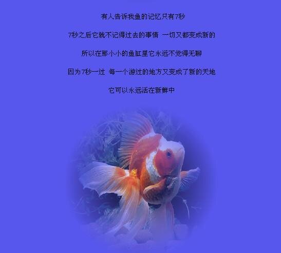 朗诵用鱼的方式爱你八秒作者卓越泡沫制作白雪诵读风云