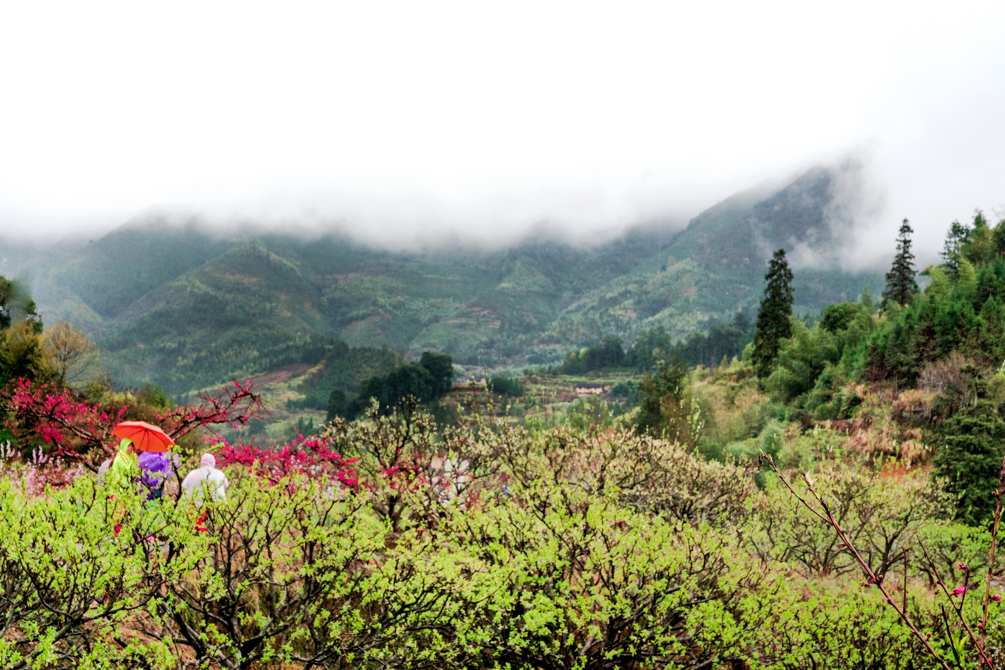 平和九峰山旅游景点图片