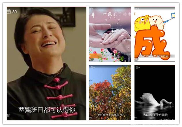 英韵贵族家族歌友联谊晚会