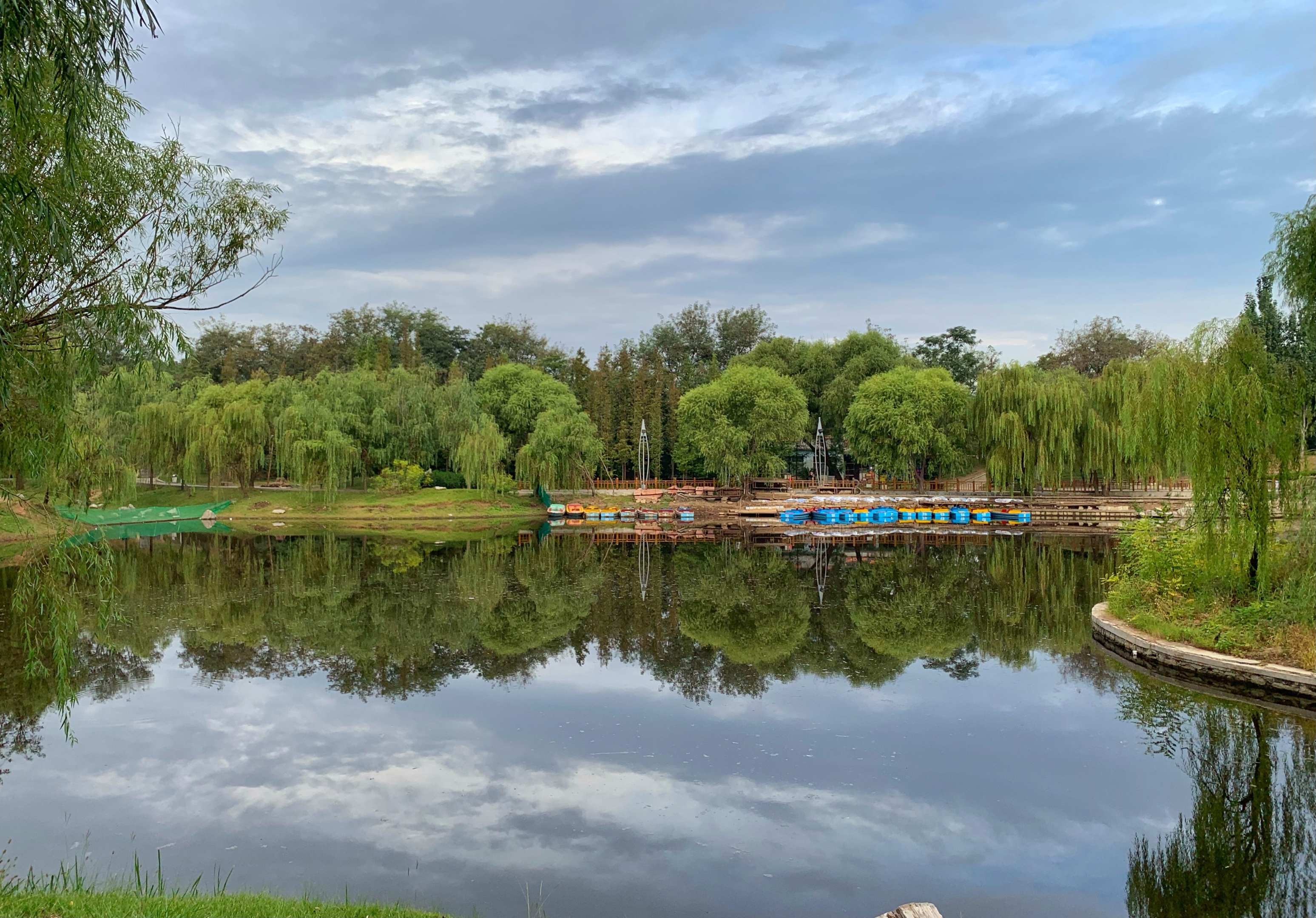 行色匆匆逛高密 鳳凰公園留足跡