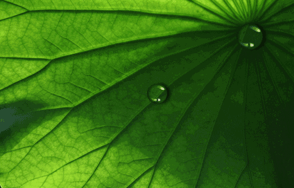 424_272gif 动态图 动图