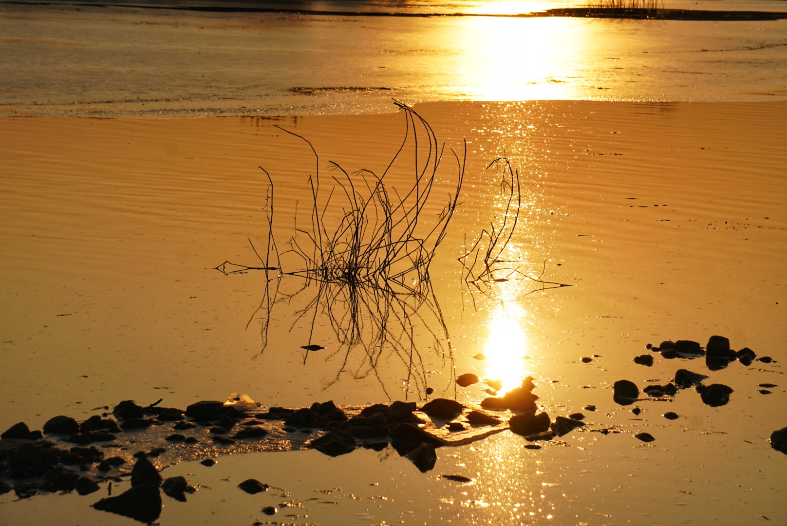 一道残阳铺水中,半江瑟瑟半江红 摄影 冰清