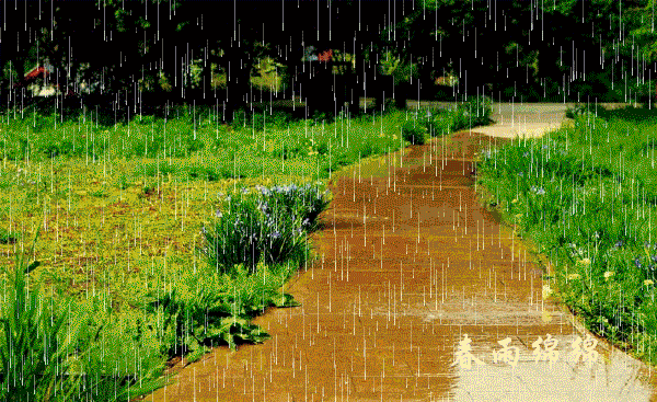 600_367gif 动态图 动图