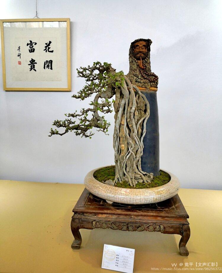 第三届中国杯盆景大赛