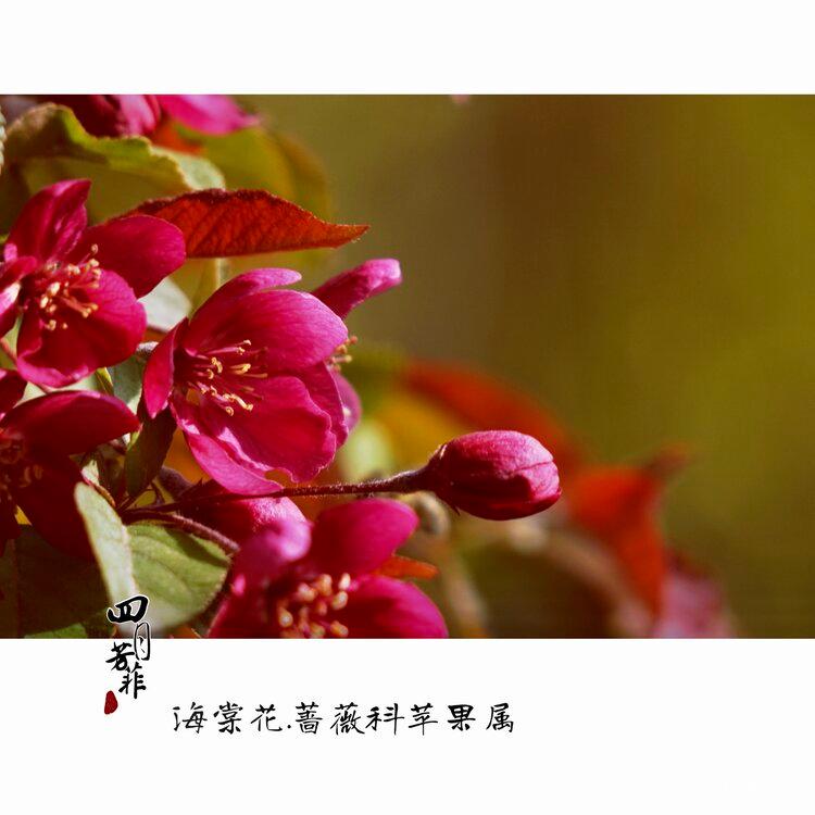 ǾޱƻĻ׷
