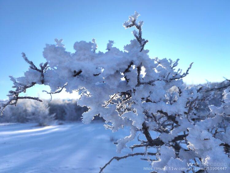 雪树银花高清图片