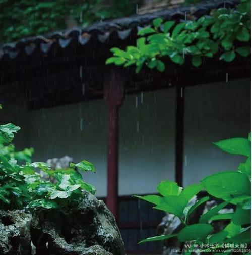 秋雨梧桐叶落时首发