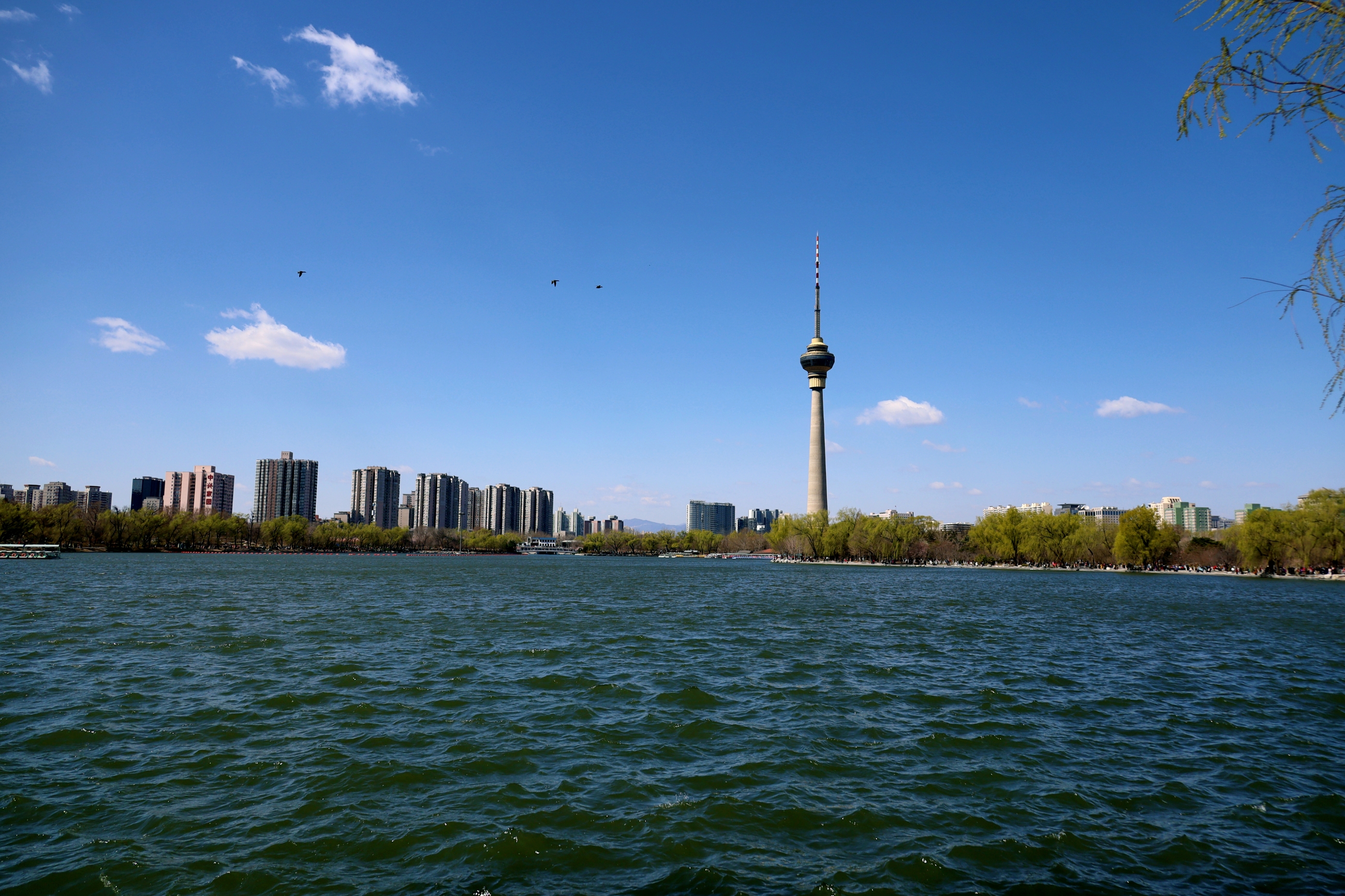 【首发】春游玉渊潭