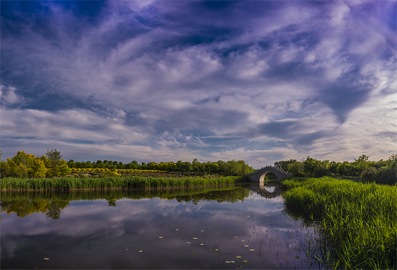 《津门湿地摄影人》