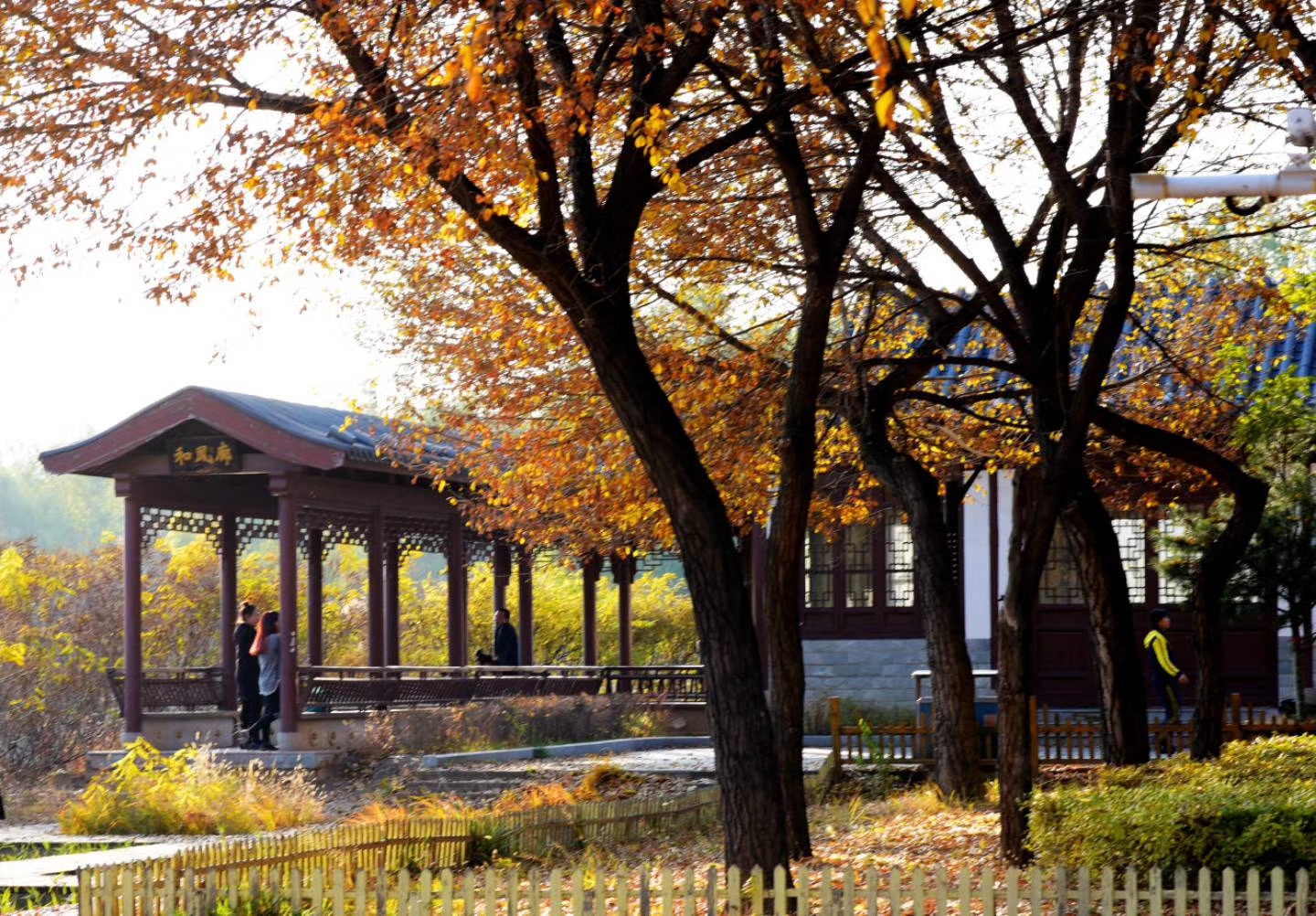 平旺公园是美丽的公园,它的春天夏天秋天和冬天各有千秋,特色