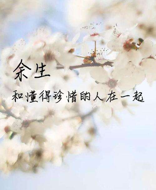 余生只求相处不累
