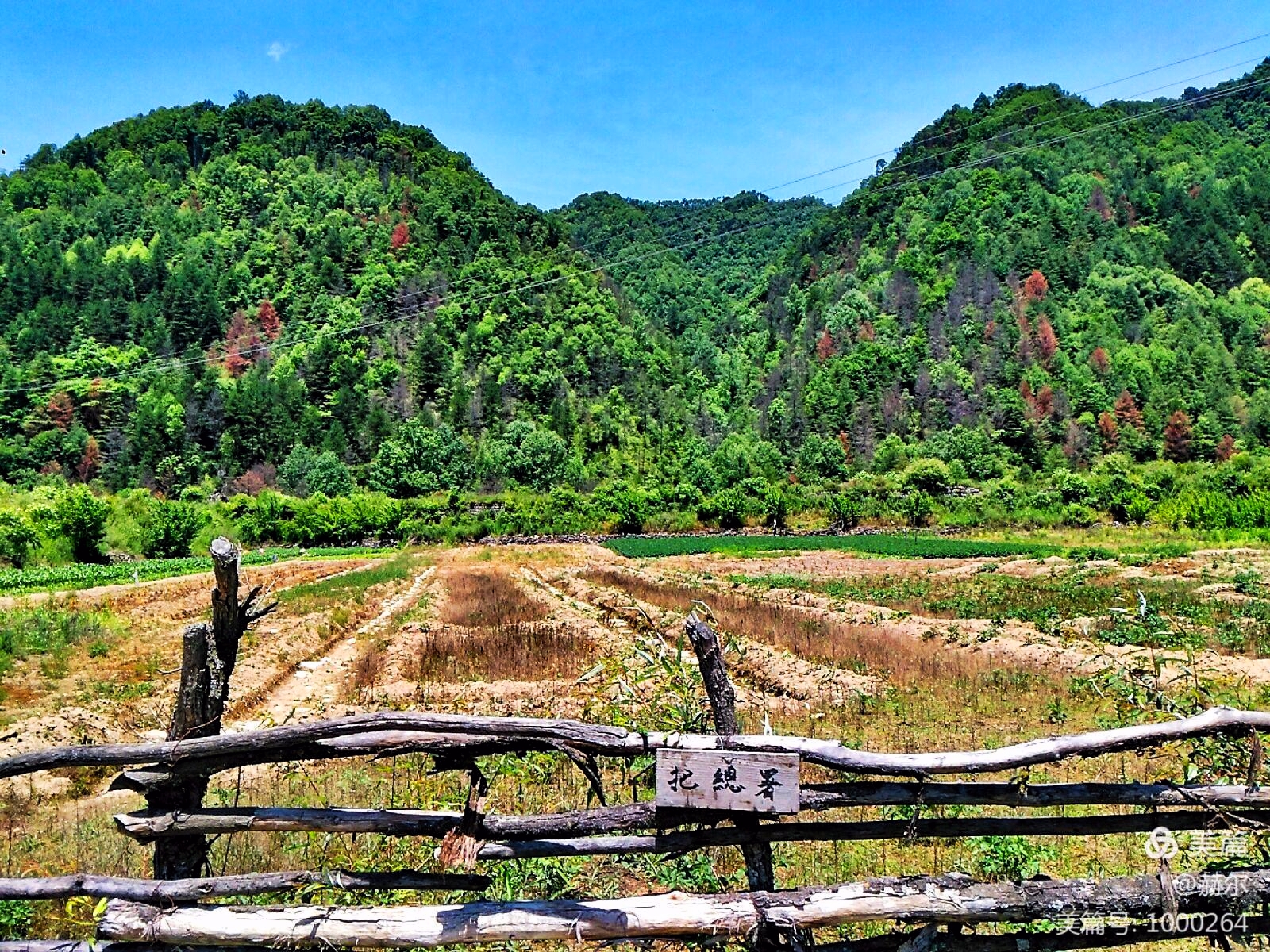 原為佛坪縣縣城(又稱佛坪廳古城)