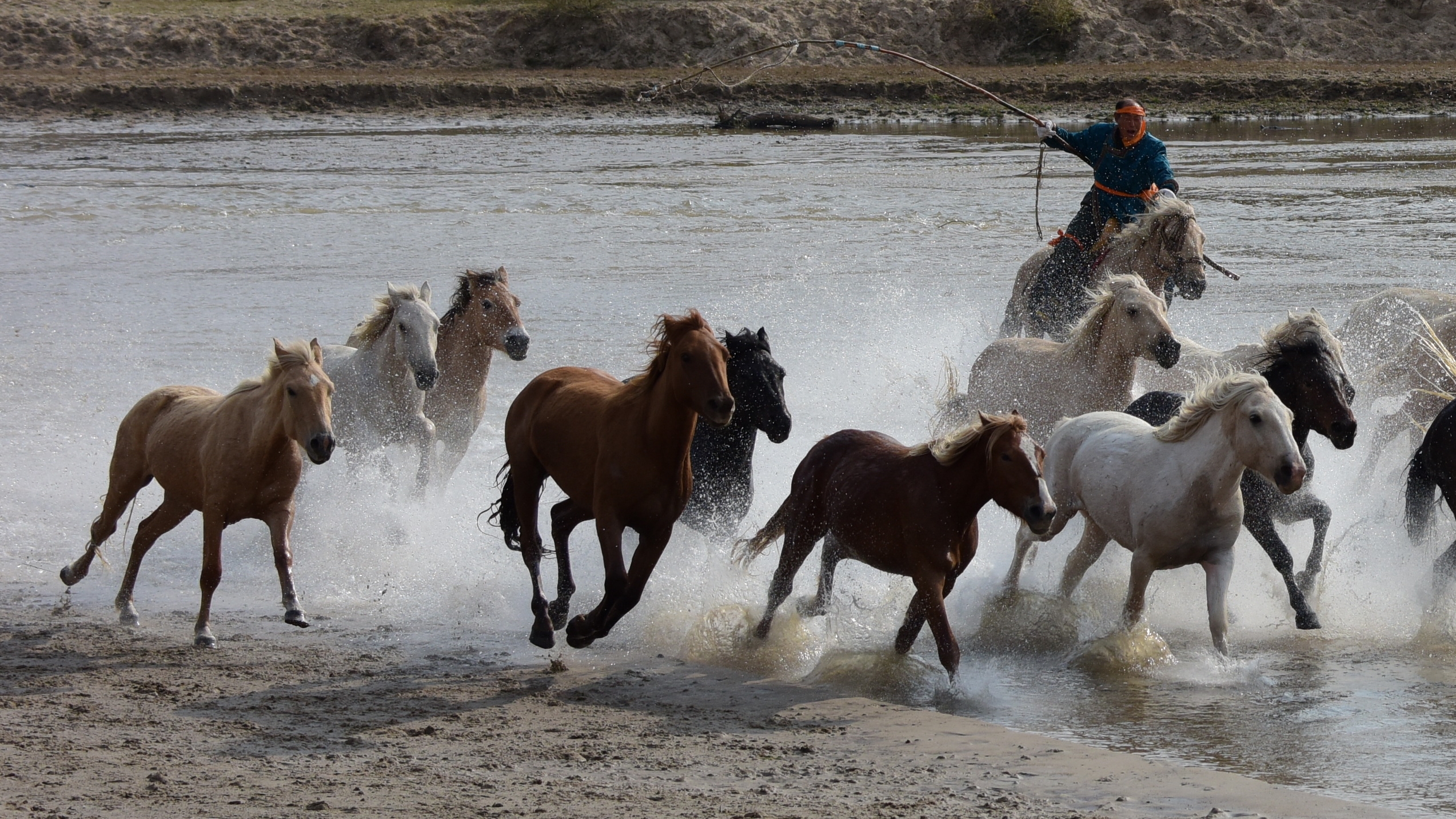 水上奔马 (首发)