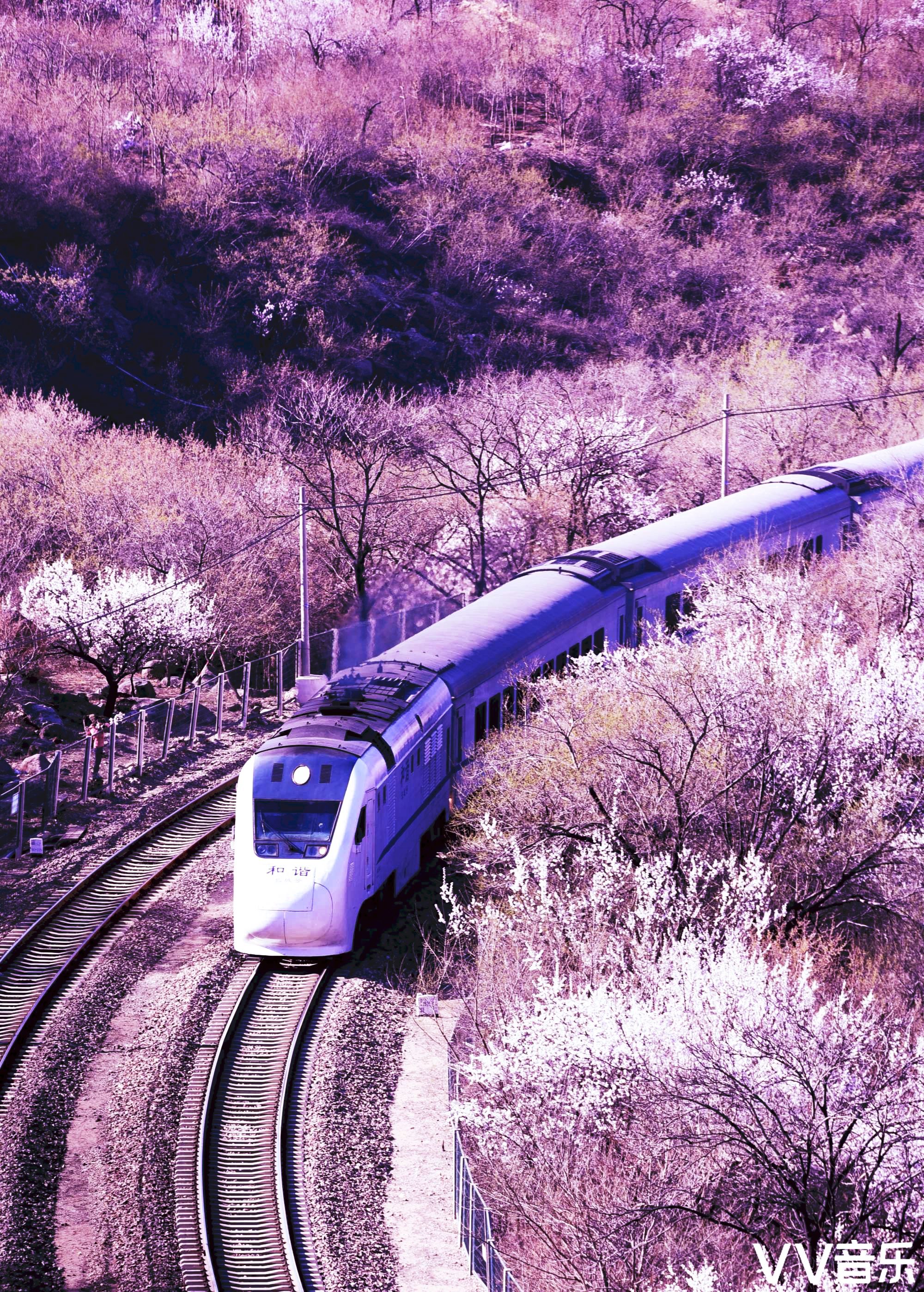 开往春天的列车