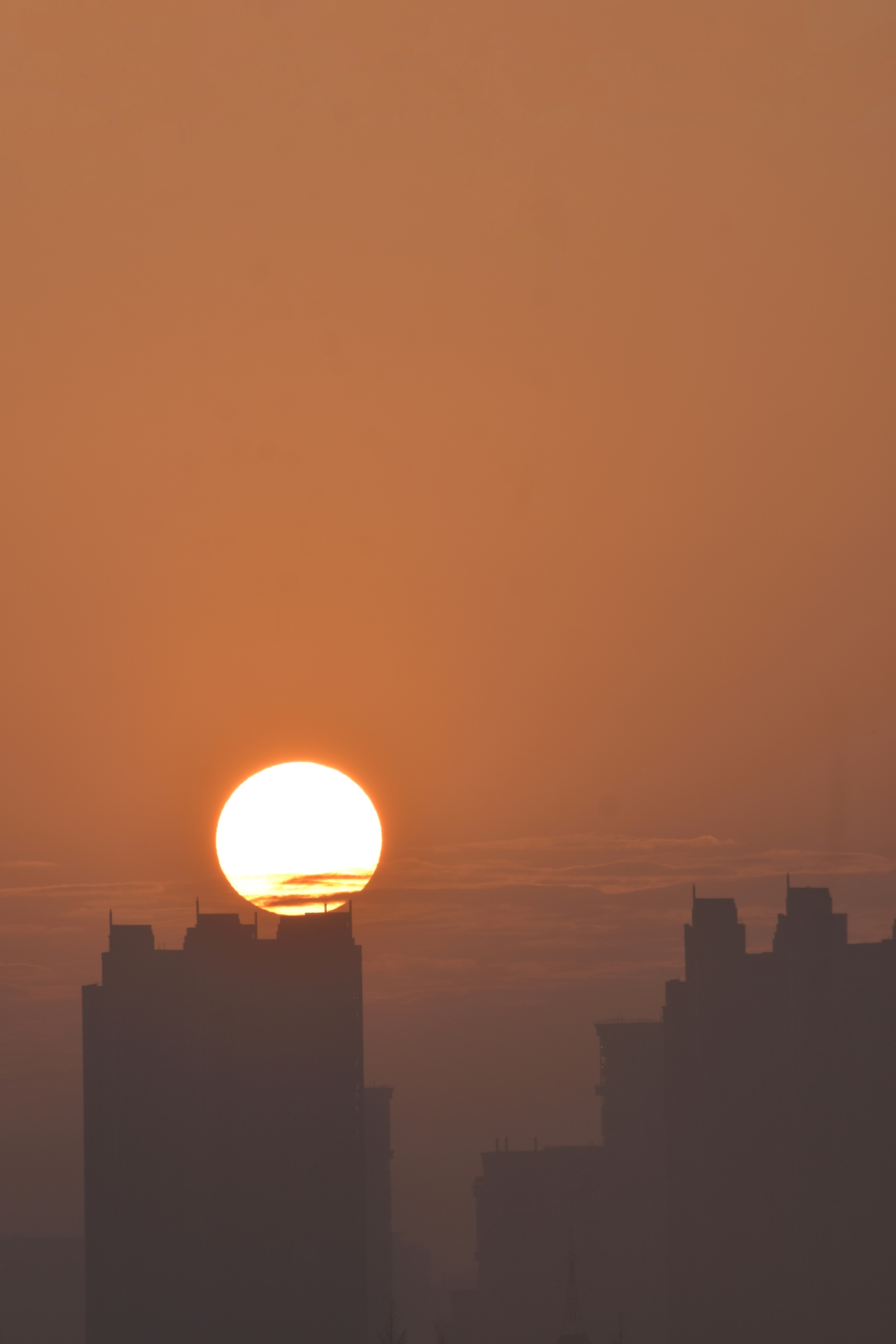 今天早晨的日出