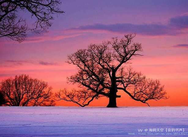 像沉重的叹息,我有我红硕的花朵,像刀,像剑,也像戟;你有你的铜枝铁干