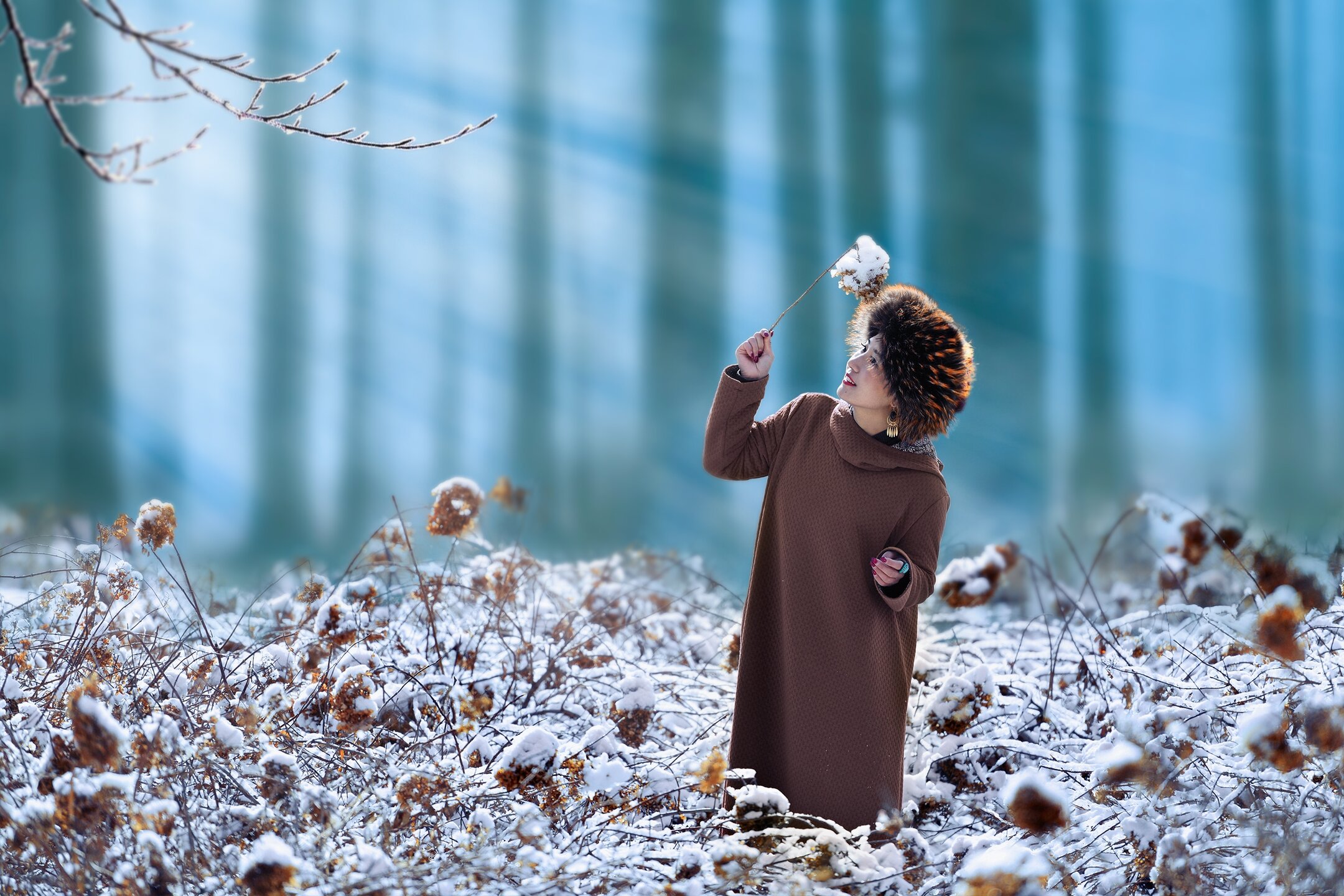 最冷的日子拥抱春天